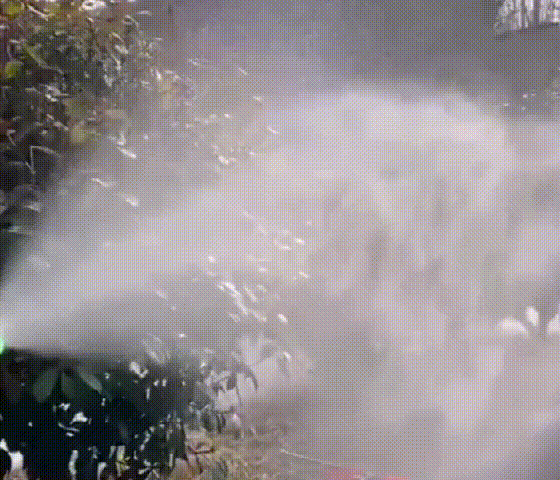 20250226_093458_030.gif